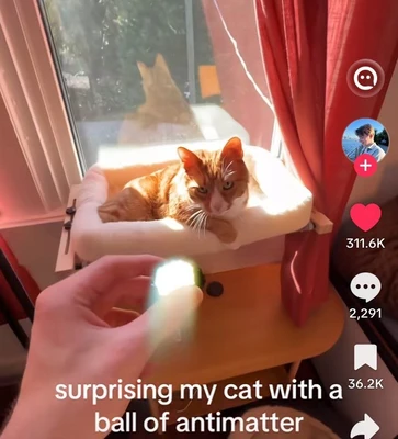 A vertical social-media-style photo shows an orange tabby cat lying on a cream-colored window perch in bright sunlight, between a window on the left and red curtains on the right. The cat faces the camera with narrowed eyes and an alert, serious expression; its reflection is visible in the window behind it. In the foreground, a person’s hand holds a small dark ball emitting an intense white-green glow toward the cat. Large white caption text at the bottom reads, “surprising my cat with a ball of antimatter”. Along the right edge are social-media icons and counts, including a heart with “311.6K”, a comment bubble with “2,291”, and a bookmark with “36.2K”.