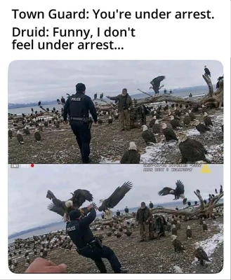 At the top, large black text reads, “Town Guard: You're under arrest. Druid: Funny, I don't feel under arrest...” Below it is a two-panel body-camera-style scene on a snowy, rocky shoreline crowded with bald eagles and other birds. In the upper panel, a police officer seen from behind approaches a bearded man in outdoor clothing, who gestures toward the birds; driftwood and birds fill the background, with mountains and water in the distance. In the lower panel, the officer leans backward with both arms raised as several large bald eagles fly directly around him, while the bearded man stands behind him among the birds. The footage overlays read “REC” with a red dot, “2024-01-08 14:42:13-0600,” and “AXON BODY 3 X80A73547,” with a yellow warning triangle at the upper right.