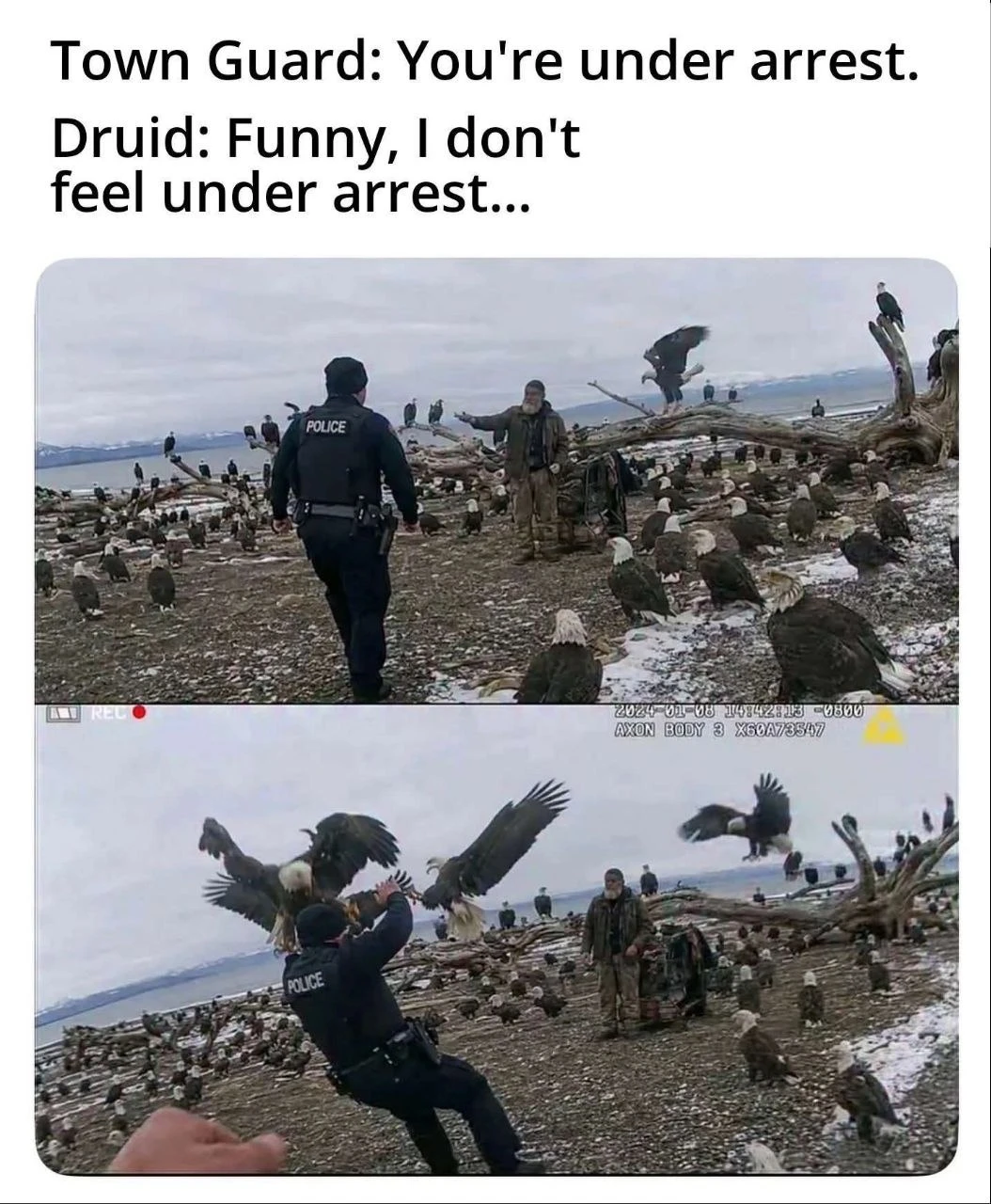 At the top, large black text reads, “Town Guard: You're under arrest. Druid: Funny, I don't feel under arrest...” Below it is a two-panel body-camera-style scene on a snowy, rocky shoreline crowded with bald eagles and other birds. In the upper panel, a police officer seen from behind approaches a bearded man in outdoor clothing, who gestures toward the birds; driftwood and birds fill the background, with mountains and water in the distance. In the lower panel, the officer leans backward with both arms raised as several large bald eagles fly directly around him, while the bearded man stands behind him among the birds. The footage overlays read “REC” with a red dot, “2024-01-08 14:42:13-0600,” and “AXON BODY 3 X80A73547,” with a yellow warning triangle at the upper right.