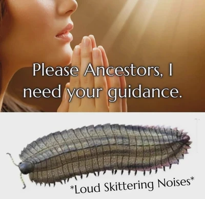 A two-panel meme: the upper panel is a warm-toned close-up of a person’s lower face and clasped hands in prayer, with the text “Please Ancestors, I need your guidance.” in large white letters with black outlining. The lower panel shows a long, gray-brown many-legged millipede on a white background, with its segmented body, antennae, and numerous legs visible; beneath it is the caption “*Loud Skittering Noises*”.