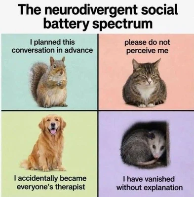 A four-panel grid titled “The neurodivergent social battery spectrum.” The top-left panel has a pale turquoise background, a squirrel sitting upright, and the text “I planned this conversation in advance.” The top-right panel has a pale pink background, a squinting tabby cat sitting with its paws tucked under its body, and the text “please do not perceive me.” The bottom-left panel has a pale yellow-green background, a smiling golden retriever sitting with its tongue out, and the text “I accidentally became everyone’s therapist.” The bottom-right panel has a pale lavender background, a gray opossum curled inside a dark opening, and the text “I have vanished without explanation.”