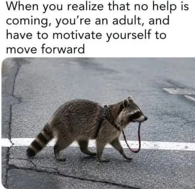 The top of the image contains the text, “When you realize that no help is coming, you’re an adult, and have to motivate yourself to move forward”. Below it, a raccoon walks from left to right across a cracked paved road, carrying or dragging a thin dark red leash in its mouth; the leash trails down toward the ground. A white painted road line runs horizontally behind the raccoon.