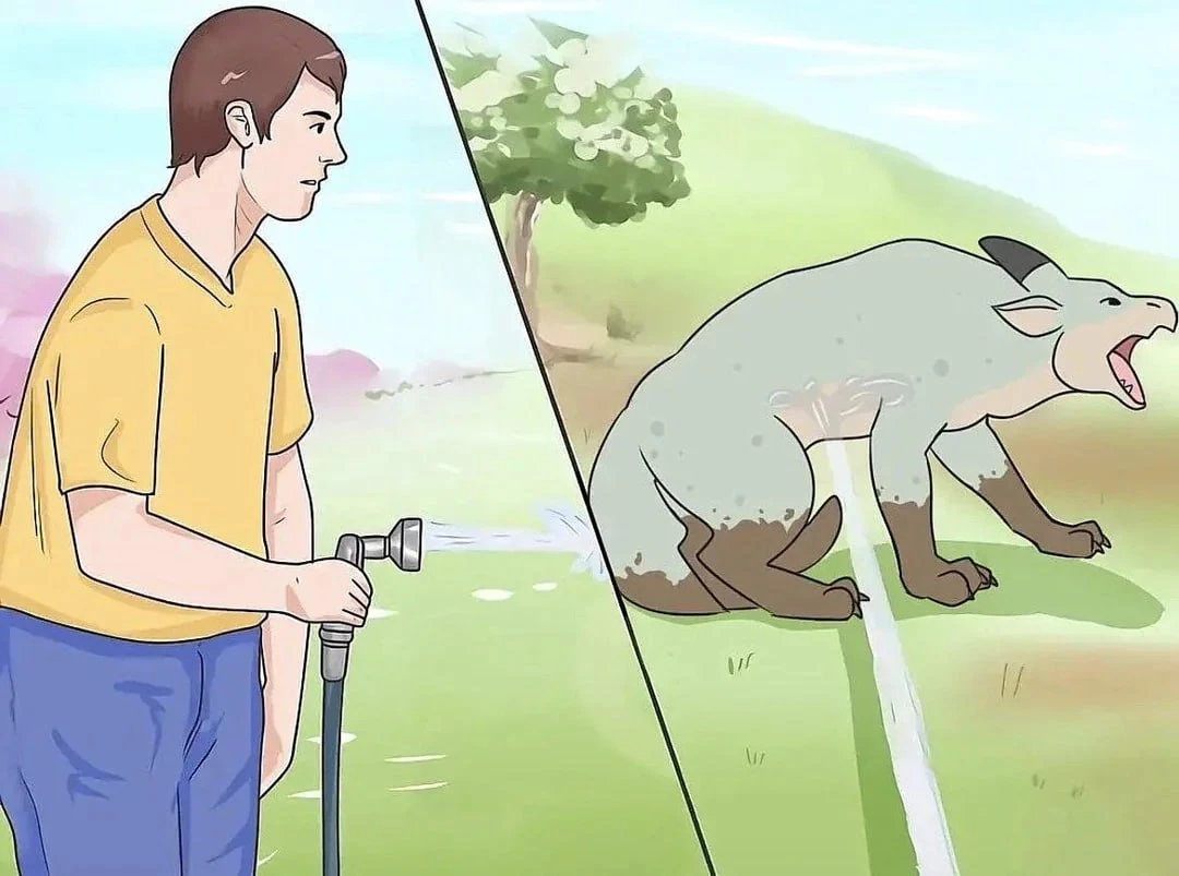 A diagonally divided cartoon scene shows a young man in profile on the left, wearing a yellow short-sleeved shirt and blue pants, holding a dark hose with a gray nozzle pointed to the right; a small stream of water sprays from the nozzle. On the right, a large pale-gray kangaroo-like animal with dark ears, brown lower legs, and an open mouth stands on all fours facing right, while a long stream of liquid runs downward from beneath its body. Both panels have a bright outdoor background with green grass, a flowering tree, and rolling hills. There is no visible text.