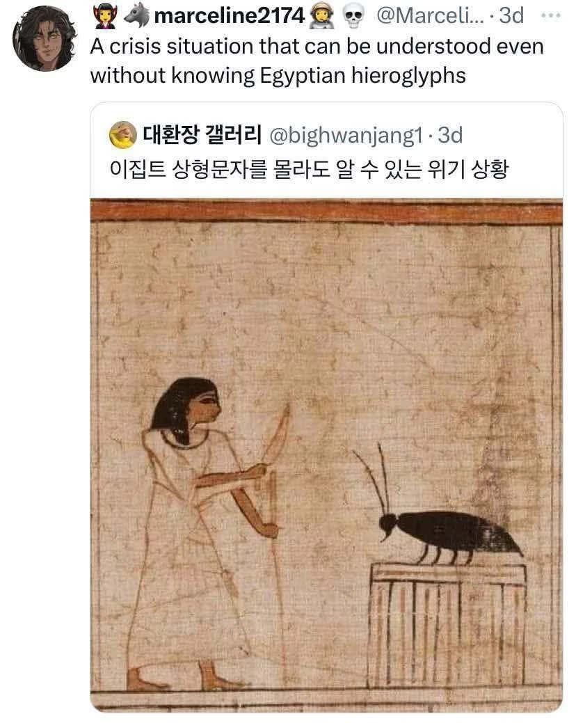 A social-media post displays the caption “A crisis situation that can be understood even without knowing Egyptian hieroglyphs.” The header shows “👩‍🎤 🐺 marceline2174 🤠 💀 @Marceli... · 3d”. Below it is an embedded post labeled “🌕 대환장 갤러리 @bighwanjang1 · 3d” with the Korean text “이집트 상형문자를 몰라도 알 수 있는 위기 상황.” The embedded image is an ancient Egyptian-style painting on tan, aged papyrus: a dark-haired woman in a long white dress stands on the left, facing right, with one leg raised and both arms extended toward a large black beetle. The beetle stands on top of a rectangular pedestal or box on the right.