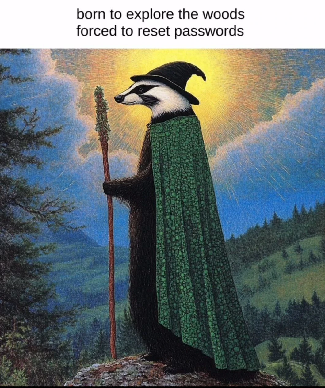 At the top, black text reads “born to explore the woods” and “forced to reset passwords.” Below, a medieval-fantasy-style illustration shows a badger standing in profile on a rocky outcrop, facing left. The badger wears a tall, floppy black pointed hat and a long dark-green patterned cloak, and holds a wooden staff in one paw. Behind it is a mountainous, forested landscape beneath a bright yellow sunburst and blue sky.