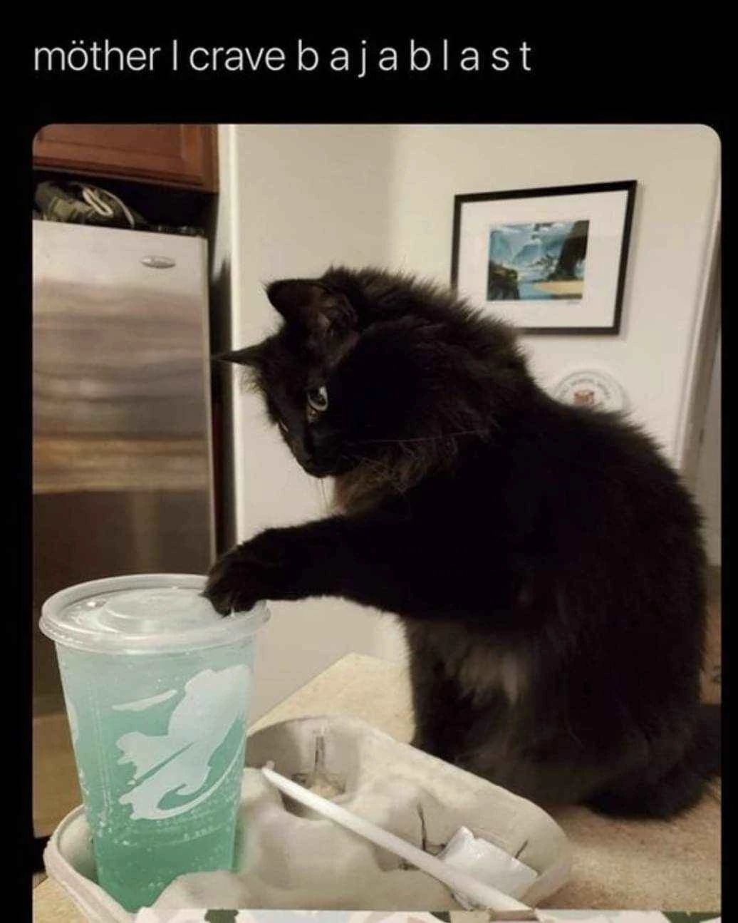 At the top, white text on a black background reads, “möther I crave b a j a b l a s t”. Below it, a fluffy black cat sits at a fast-food table beside a clear plastic cup filled with bright blue-green drink and decorated with a white logo; the cat extends one paw onto the cup’s lid and looks toward the camera with one eye visible. A beige food tray with a straw wrapper and other paper items is in the foreground, with a refrigerator, cabinets, and framed wall art in the background.