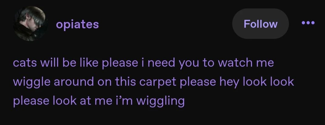 A dark social-media post screenshot has a circular, shadowy profile picture at the upper left, the username “opiates” in purple, a rounded “Follow” button near the upper right, and a purple three-dot menu icon. Below, large purple text reads: “cats will be like please i need you to watch me wiggle around on this carpet please hey look look please look at me i’m wiggling” with the text arranged across three lines.
