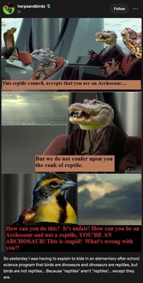 A social media post from “herpsandbirds” displays a three-panel meme using a science-fiction council chamber scene with seated, robed figures whose heads are replaced by reptiles and a bird. In the top panel, a snake-headed figure sits at left, a gray lizard-headed figure sits near the center, and crocodilian- and turtle-like reptile-headed figures sit at right; the caption reads, “This reptile council, accepts that you are an Archosaur....” The middle panel shows a robed council member with a large crocodile head, with the caption, “But we do not confer upon you the rank of reptile.” The bottom panel shows a brightly colored bird in side profile, appearing to protest, with red text reading, “How can you do this? It's unfair! How can you be an Archosaur and not a reptile, YOU'RE AN ARCHOSAUR! This is stupid! What's wrong with you?!” Below the panels, the post text reads, “So yesterday I was having to explain to kids in an elementary after school science program that birds are dinosaurs and dinosaurs are reptiles, but birds are not reptiles... Because "reptiles" aren't "reptiles"... except they are.” The account header also shows “herpsandbirds,” “1h,” and “Follow.”