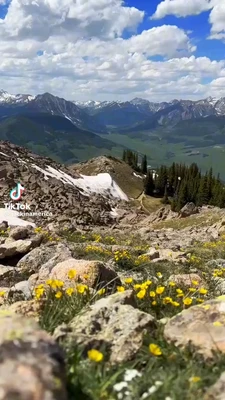 A rocky alpine mountainside fills the foreground, dotted with small yellow and white wildflowers, patches of lingering snow, and scattered evergreen trees descending toward a broad green valley. Jagged, snow-streaked mountain ranges stretch across the middle distance beneath a bright blue sky filled with large white clouds. In the lower-left corner, a TikTok watermark reads “TikTok” and “@jackinamerica”. This meme is a video; captions are not available.